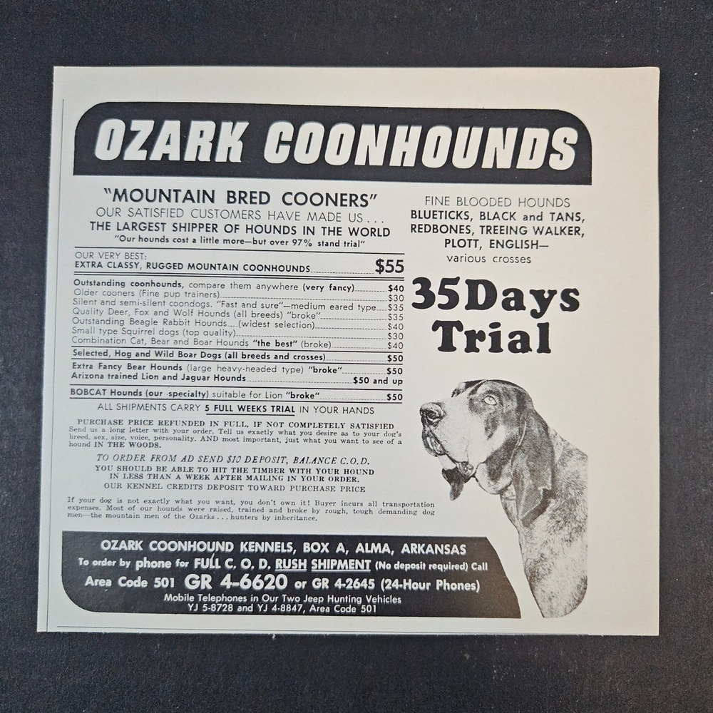 1967 Ozark Coonhounds Mountain Bred Cooners Vintage Print Ad Alma AR Redbones‎